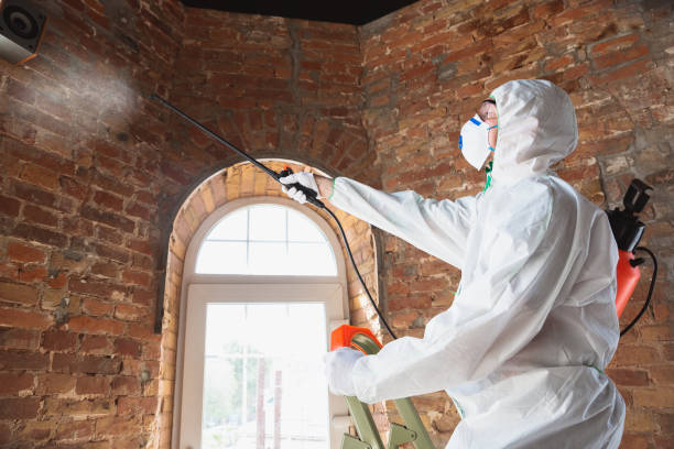 Best Industrial Mold Remediation in Decatur, TX