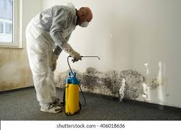 Why You Should Choose Our Mold Remediation Services in Decatur, TX